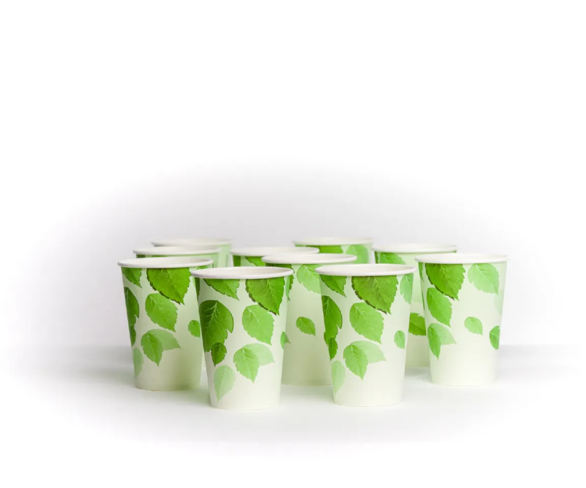 CROPLAST-Case-09